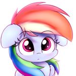  cute equine female feral friendship_is_magic hair heavymetalbronyyeah hi_res looking_at_viewer mammal multicolored_hair my_little_pony pegasus rainbow_dash_(mlp) raised_eyebrows simple_background solo white_background wide_eyed wings 