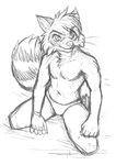  anthro clothing front_view greyscale guide_lines kneeling looking_at_viewer male mammal monochrome naughty_face navel pinup pose pteryon raccoon sketch slim solo thong toopless whiskers 