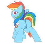  alpha_channel anus butt cutie_mark equine female feral friendship_is_magic hair half-closed_eyes looking_at_viewer looking_back mammal mr_rottson multicolored_hair my_little_pony pegasus pussy rainbow_dash_(mlp) smile teeth wings 
