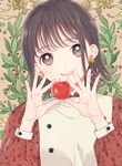  apple bangs berries brown_eyes brown_hair buttons commentary_request dress earrings floral_print food fruit hands_up head_tilt holding holding_food holding_fruit jewelry long_sleeves looking_at_viewer mosuko open_mouth original plant short_hair smile solo upper_body 