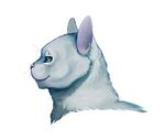  ambiguous_gender feline feral fur happy-cat mammal silverstream_(warriors) simple_background smile solo whiskers white_background 