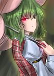  1girlgreen_hair kazami_yuuka oshiaki red_eyes short_hair touhou 