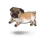  ambiguous_gender canine dog epke feral mammal nude pug simple_background solo tongue tongue_out white_background 