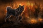  ambiguous_gender black_lips black_nose canine detailed_background feral fire fur grass grey_fur mammal nude outside paws purple_eyes solo standing wolf wolnir 