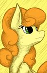  carrot_top_(mlp) earth_pony equine eyelashes female feral flamevulture17 friendship_is_magic fur green_eyes hair hi_res horse mammal my_little_pony orange_hair pony solo 