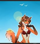  bikini canine clothing count_meow fox jewelry mammal rena_the_vixen swimsuit 