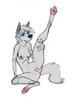  4_toes 5_fingers anthro black_nose blue_eyes breasts canine colored_sketch cyndi cyndi_(character) digitigrade eyebrows eyelashes female fur hair mammal nipples pussy simple_background toes white_background white_fur white_hair wolf 