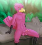  avian balls bird circumcised erection heddy humanoid_penis looking_at_viewer male nude pecs penis pinup pose signature sitting slim solo spread_legs spreading 