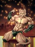  2016 5_fingers abs anthro biceps big_biceps big_bulge black_bottomwear black_claws black_clothing bleakcat bleakcat_(character) brown_fur bulge cat cheek_tuft claws clothed clothing colored detailed_background feline flexing front_view full-length_portrait fur green_eyes grey_fur group humanoid_hands inner_ear_fluff inside invalid_tag light male mammal manly muscular muscular_male navel nipples pecs pink_nipples pink_nose pinup portrait pose public quads reflection serratus shaded shiny skimpy snout solo_focus stripper topless triceps tuft whiskers white_fur yellow_sclera 