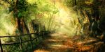  dappled_sunlight day fence forest landscape morning nature no_humans outdoors renevatia road scenery sunlight tree 