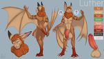  balls bat big_balls big_penis dbd erection fur grey_background half-erect huge_balls huge_penis luther_(luther-bat) male mammal model_sheet orange_fur penis simple_background solo wings 