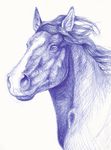  2014 ambiguous_gender balorkin blue_and_white equine feral headshot_portrait horse mammal mane monochrome pen_(artwork) portrait quadruped simple_background snout solo traditional_media_(artwork) white_background 