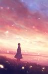  ahoge backlighting blurry capelet cloud cloudy_sky commentary depth_of_field fantasy from_behind grass lake leaf light_particles looking_afar original robe sakimori_(hououbds) scenery short_hair sky solo water 