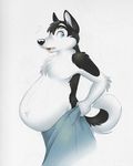  anthro canine dekopuma dog husky male male_pregnancy mammal mehndix pregnant simple_background solo surprise towel 