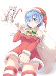  2429144768 alternate_costume animal blue_eyes blue_hair breasts cat christmas dress dress_tug fur_trim hair_ornament hair_over_one_eye hat highres looking_at_viewer looking_down medium_breasts merry_christmas panties pantyshot puck_(re:zero) re:zero_kara_hajimeru_isekai_seikatsu red_dress rem_(re:zero) ribbon sack santa_costume santa_hat short_hair simple_background standing striped striped_legwear striped_panties thighhighs underwear white_background x_hair_ornament 