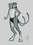  alnix bell clothing collar conjoined digitigrade dragonlord382 feline franciskeep jayden kayden leopard male mammal multi_head multi_tail sibling simple_background snow_leopard speedo swimsuit twins 