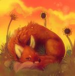  canine day detailed_background feral fox fur grass lying mammal nude orange_fur outside sky solo zenirix 