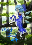  blue_dress blue_eyes blue_hair blue_ribbon bow cirno dress hair_bow highres ice ice_wings in_tree md5_mismatch niiko_(gonnzou) puffy_short_sleeves puffy_sleeves red_bow red_ribbon ribbon short_hair short_sleeves sitting sitting_in_tree solo touhou tree wings 