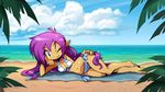  1girl beach bikini blue_eyes cleavage looking looking_at_viewer official_art pointy_ears purple_hair shantae shantae_(character) shantae_(series) wet 