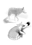  animal_focus cat dog greyscale hands highres monochrome original out_of_frame petting shadow tokki 