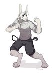  anthro clothed clothing fur huffpup lagomorph male mammal rabbit simple_background solo standing teeth white_background 