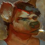  2014 anthro black_hair brown_fur brown_nose cigarette clothed clothing digital_media_(artwork) digital_painting_(artwork) eyebrows front_view fur hair headshot_portrait hyena low_res male mammal ophryon portrait short_hair simple_background smoke smoking solo textured_background 