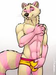  2016 5_fingers abs anthro black_nose briefs bulge claws clothing crotch_grab fluffy fur grope hand_on_chest inner_ear_fluff male mammal multicolored_fur navel one_eye_closed raccoon red_eyes signature simple_background smile solo standing suggestive teasing tongue tongue_out tsaiwolf underwear whiskers white_background wink 
