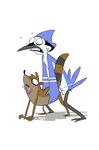  avian balls bird blue_jay cum derp feathers gay grabbing male mammal mordecai open_mouth orgasm_face penis plain_background raccoon regular_show rigby tongue unknown_artist white_background 