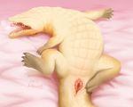  2016 alligator animal_genitalia cloaca crocodilian embermint female feral inviting looking_at_viewer lying on_back open_mouth pinup pose presenting presenting_cloaca pussy reptile scales scalie solo spread_pussy spreading teeth tongue yellow_eyes 