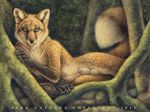  2016 animal_genitalia balls canine dark_natasha forest fox green_eyes looking_at_viewer lying male mammal mixed_media penis sheath sollo solo tree 