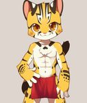  anthro black_fur blush brown_eyes chest_tuft clothed clothing feline fur grey_background loincloth looking_at_viewer mammal navel orange_fur raier simple_background smile standing striped_fur stripes topless tuft underwear unrealplace white_fur 