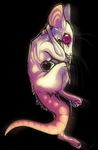  2015 ambiguous_gender black_background mammal nude purple_eyes rat rodent simple_background solo standing teeth whiskers zenirix 