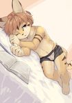  anthro bed blush book brown_fur bulge clothed clothing cub cute feline fur looking_at_viewer lying male mammal on_side one_eye_closed pillow simple_background solo tiger tired topless umani underwear young 