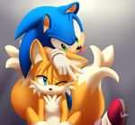  anthro canine clothing fox fur gloves hedgehog male mammal miles_prower myly14 sonic_(series) sonic_the_hedgehog video_games 