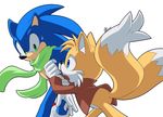  anthro canine clothing fox fur gloves hedgehog male mammal miles_prower myly14 scarf sonic_(series) sonic_the_hedgehog video_games 