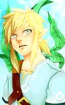  1boy artist_request blonde_hair earrings link male_focus nature outdoors plant pointy_ears sky solo the_legend_of_zelda the_legend_of_zelda:_breath_of_the_wild upper_body 