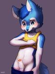  anthro balls blue_eyes blue_fur blue_hair blush canine child clothed clothing clothing_lift cub dog erection fur hair male mammal mintea partially_retracted_foreskin penis precum pulling_pants_down shirt shirt_lift simple_background solo standing uncut young 