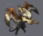  ambiguous_gender avian break claws english_text feathered_wings feathers featureless_crotch flying front_view gryphon open_mouth signature solo text wings zaebos 