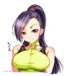  bare_shoulders breasts dragon_quest dragon_quest_xi long_hair looking_at_viewer martina_(dq11) medium_breasts mudou_eichi ponytail purple_eyes purple_hair simple_background smile solo white_background 