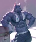  abs anthro bandage canine clothed clothing male mammal muscular navel raccoon21 solo standing steam sweat towel vein 