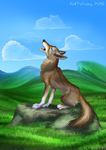  2016 canine cloud digital_media_(artwork) howl kekpafrany mammal outside rock wolf 