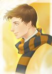  blue_eyes brown_hair fantastic_beasts_and_where_to_find_them freckles male_focus newt_scamander portrait scarf solo yunzhi-zz 