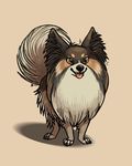  2016 brown_eyes canine claws dog feral fluffy inner_ear_fluff looking_at_viewer mammal papillon sepia_(artist) simple_background smile solo standing toe_claws tongue tongue_out 