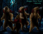  bear claws dancing festival forest fur grizzly_bear group headwear holidays mammal moonlight new_year romania snow teeth tree uitinla winter 