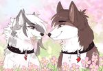  ambiguous_gender andogg canine collar dog duo feral flower fur hair mammal plant sitting smile teeth wolf 