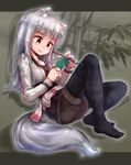  animal_ears black_legwear black_row brush full_body highres long_hair myuri_(spice_and_wolf) no_shoes pantyhose pantyhose_under_shorts red_eyes shinsetsu_spice_and_wolf shirt shorts silver_hair sitting smile solo spice_and_wolf tail wolf_ears wolf_tail 