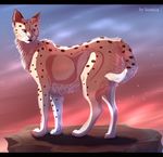  ambiguous_gender black_bars day detailed_background feline feral fur mammal nude outside paws red_eyes seanica serval sky solo spots spotted_fur standing tan_fur 