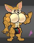  abs anthro biceps bobthetanuki body_hair bulge canine clothing disney fennec finnick fox happy_trail hi_res hyper hyper_muscles male mammal muscular pecs red_eyes serratus solo thong zootopia 