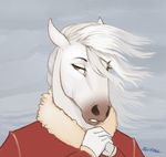  ambiguous_gender brown_eyes cloudy coat equine hair horse mammal mane siyah sky solo white_hair 