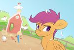  avian bird chicken cub equine farm female feral friendship_is_magic hair looking_away mammal my_little_pony outside pegasus pony-butt-express purple_eyes purple_hair raised_eyebrow scootaloo_(mlp) sitting solo wings young 